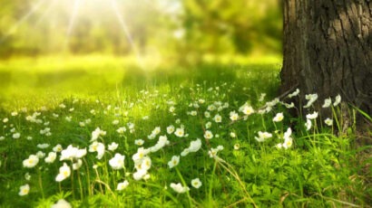 Erkläre den Sonntag zum Achtsamkeitstag