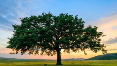 Angst, Hilflosigkeit und Unsicherheit – wie Achtsamkeit stabilisiert