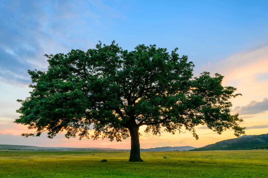 Angst, Hilflosigkeit und Unsicherheit – wie Achtsamkeit stabilisiert