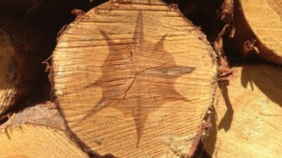 Gabriela Voss; Anti-Stress-Coaching; Anfängergefühl; Veränderungen; Wachstumszone; Achtsamkeit; Veränderungsprozesse