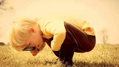 Erwartungen oder die Möhren unseres Lebens