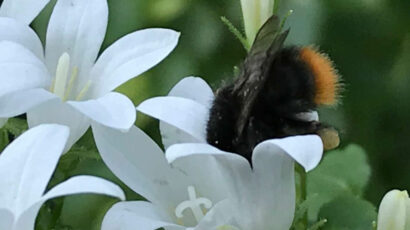 Achtsamkeit verloren?