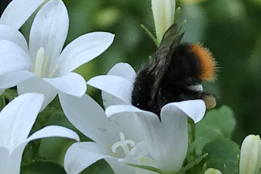 Achtsamkeit verloren?