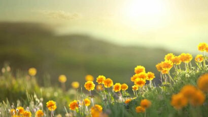 Natur und Achtsamkeit; Durchatmen