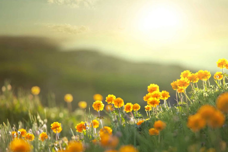 Natur und Achtsamkeit; Durchatmen