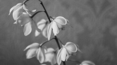 Trauer; starke Gefühle; schwierige Gefühle