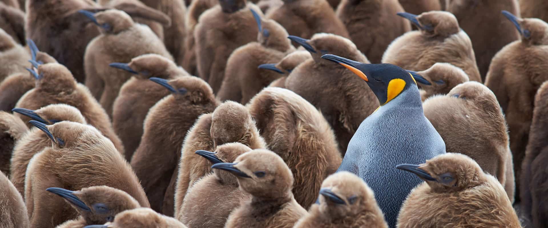Coaching in Hamburg Altona/Eimsbüttel mit Achtsamkeits-Lehrerin Gabriela Voß Coaching in Hamburg Altona/Eimsbüttel mit Achtsamkeits-Trainerin Gabriela Voß